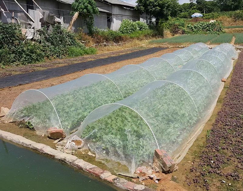 蔬菜種植網